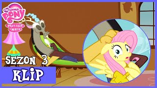 Discord Zamieszkał u Fluttershy |My Little Pony|Sezon 3|Odcinek 10|Tylko Spokojnie Flutteshy|FULL HD