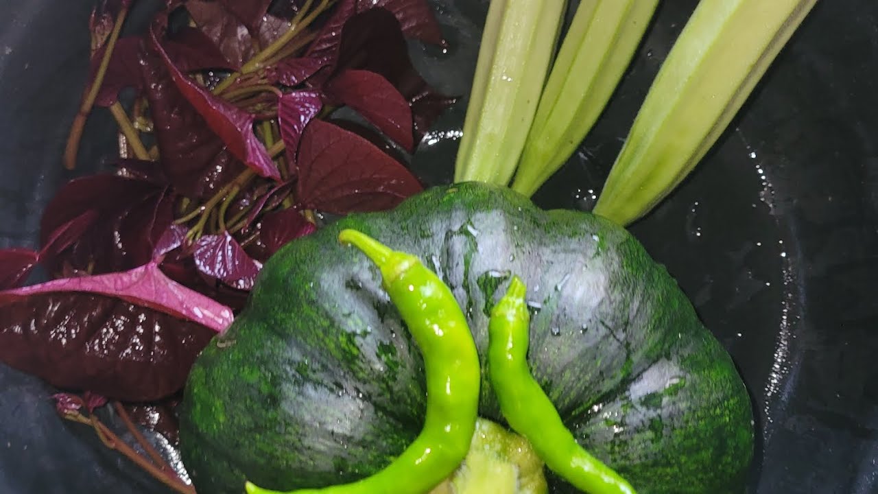 DAILY HARVEST | BACKYARD GARDEN | PHILIPPINES 