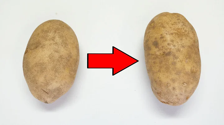 Can you cook a Potato with a Potato?