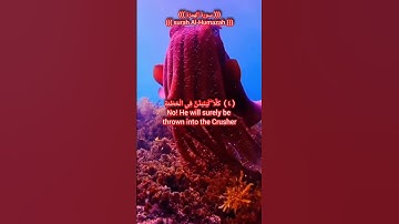 سورة الهمزة #قران surah Al-Humazah #quran