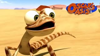 Óscar's oasis Rascándose  Oscar cartoon, Oasis, Short movies