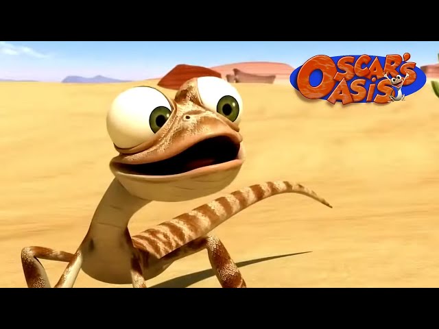 Oscar's Oasis Official 
