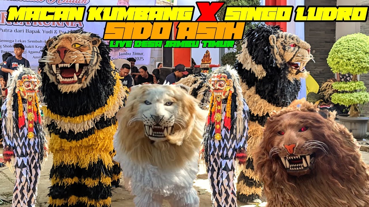 TERBARU‼️BARONGAN SIDO ASIH LIVE DESA JAMBU TIMUR MLONGGO JEPARA | MACAN KUMBANG X SINGO LUDRO