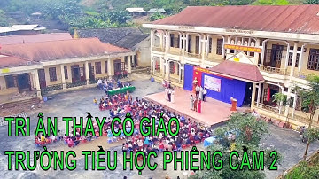 @P131. Hương rừng mái trường vùng cao. Tri ân thầy cô trường Tiểu học Phiêng Cằm 2 nhân ngày 20/11.