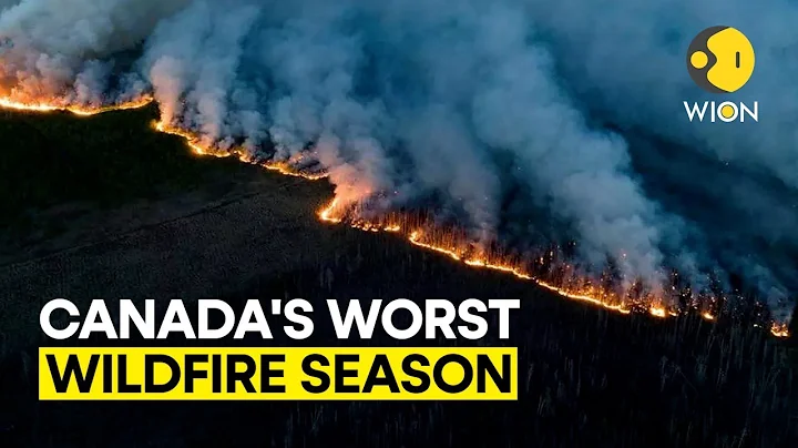 CANADA WILDFIRE: Canada is experiencing its worst wildfire season on record l WION ORIGINALS