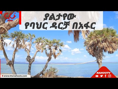 ቪዲዮ: እመቤት ቡጊ ፣ የ WiFi እትም 5 ደረጃዎች (ከስዕሎች ጋር) ቪዲዮ: እመቤት ቡጊ ፣ የ WiFi እትም 5 ደረጃዎች (ከስዕሎች ጋር)