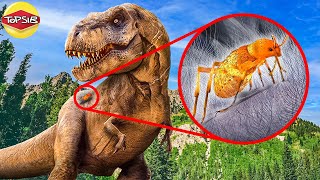 สิ่งมีชีวิตตัวนี้ที่ค้นพบบนตัวไดโนเสาร์ทำให้ทั่วโลกช็อก! (ตัวอะไรเนี่ย)