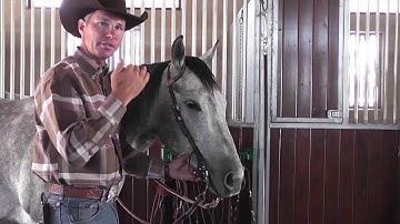 Function of a Bridle with a Shank Bit