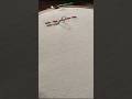 Hand embroidery for beginners - back stitch tutorial. #shorts