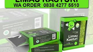 Agen Limau Kasturi 0838.4277 5510