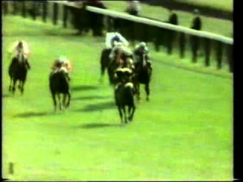 Ranker Video