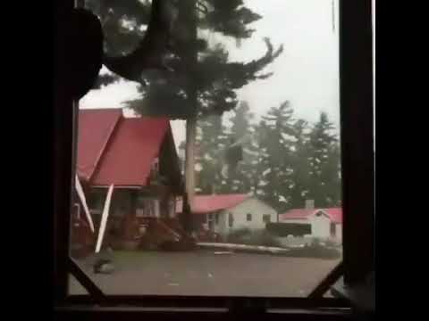 قدرت رعد و برق رو ببین