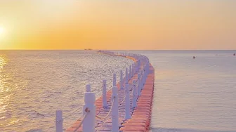 [朝のBGM] 爽やかなチルポップソングで夏の一日を始めましょう🌞 | Morning Chill Pop