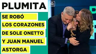 Perrita Alegra Momento De Soledad Onetto Y Juan Manuel Astorga En Noticiero