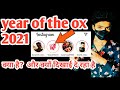 Year of the ox 2021 | year of the ox instagram