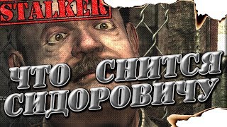 STALKER ЛУЧШИЙ МОД ПРО СИДОРОВИЧА