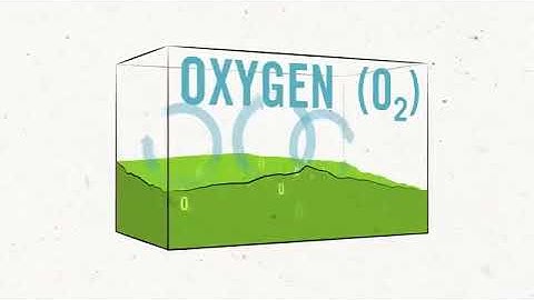 How Composting helps to save environment