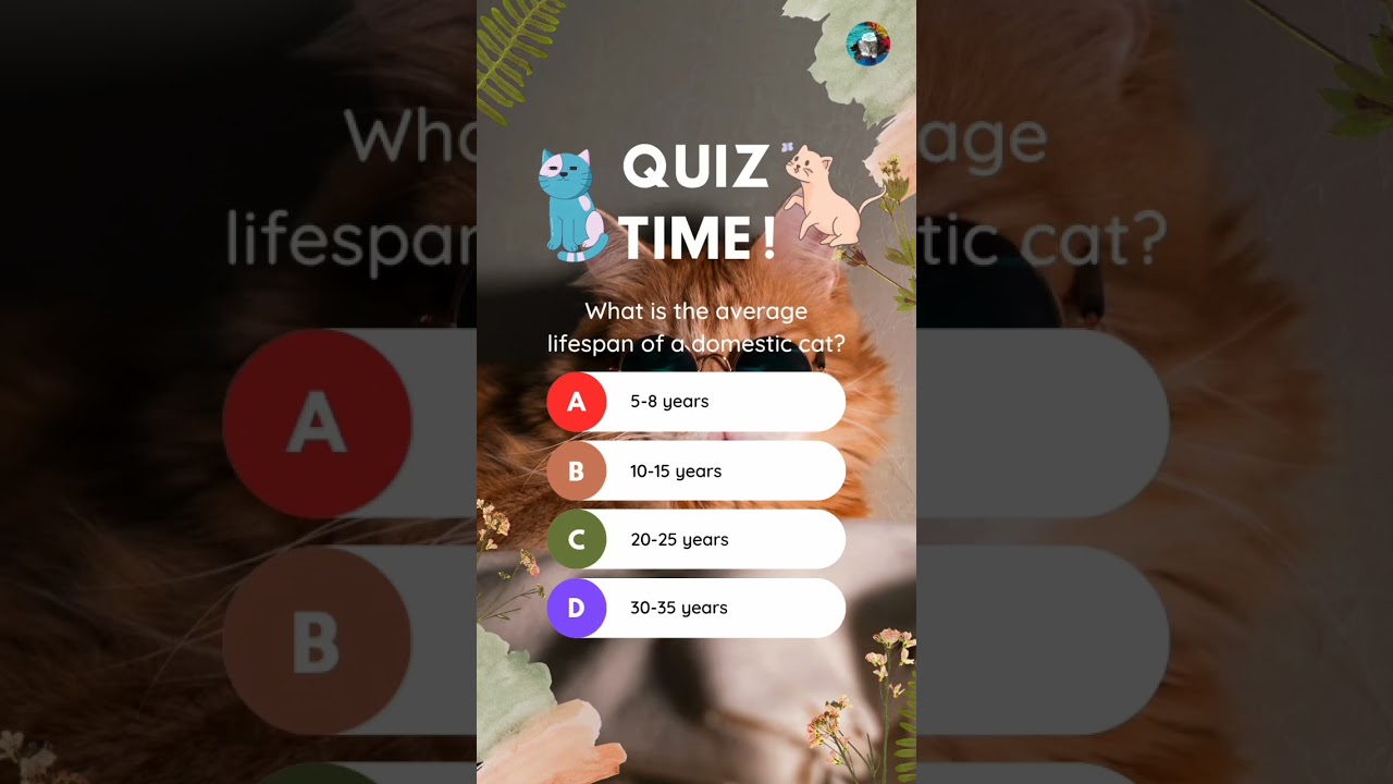 Average Lifespan Of A Domestic Cat? 