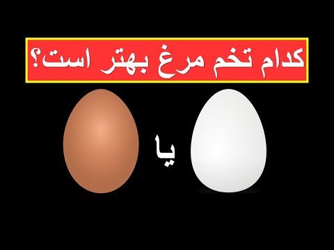 تصویری: تفاوت تخم مرغ سفید با تخم مرغ قهوه ای چیست