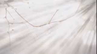 ملحقات برنامج  ProShow Gold screenshot 1