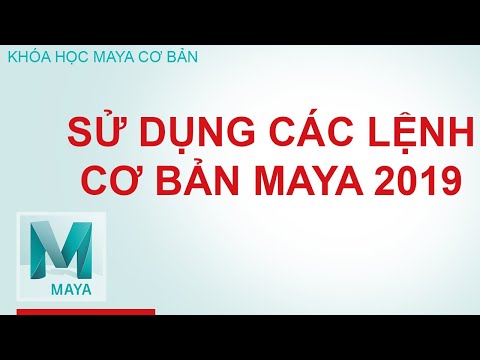 Học maya Sử dụng các lệnh cơ bản trong Maya 2019