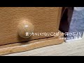 【弾き語り】言っちゃいけないことばっか浮かぶよな / Guiano &times; 理芽