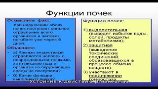 Унифлокс инструкция по применению лекарственного препарата