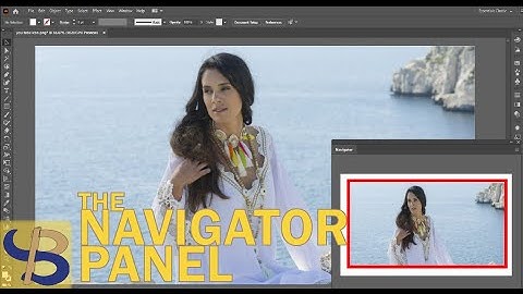 ALL ABOUT THE NAVIGATOR PANEL!