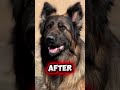 Stella’s Insane Transformation 😍 | Before vs After Glow Up You Can’t Ignore