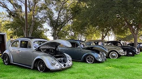 Only VWs Allowed – Bug Bash 2025 Was INSANE!