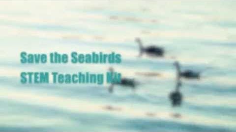Seabirds Promotional Video