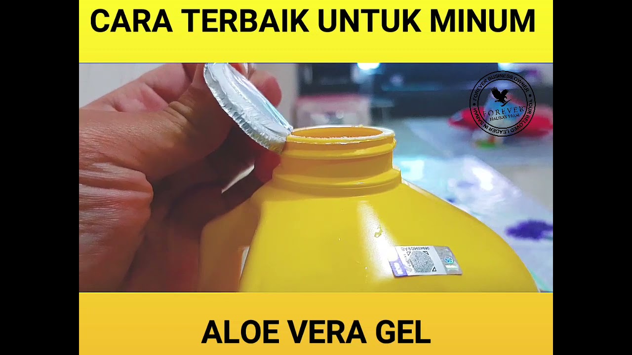Cara Mengkonsumsi Aloe Vera Blog Sayurbox