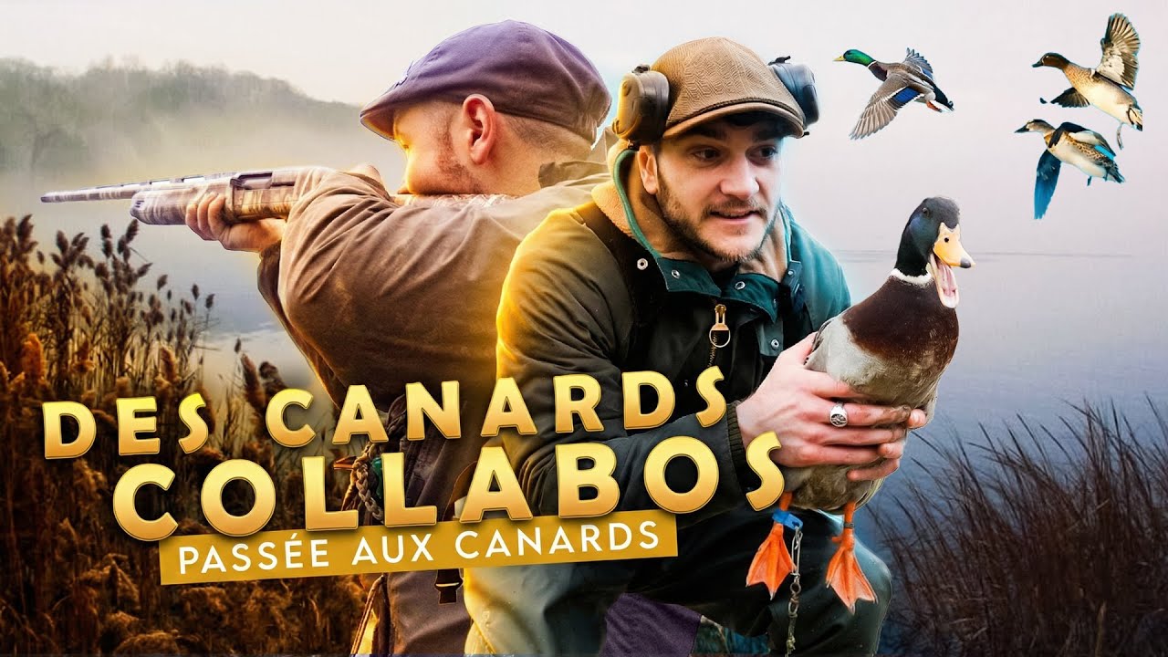 2 PASSÉES aux CANARDS dans un champ qui S'INNONDE