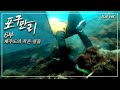 '섬 속의 섬', 제주도를 둘러싼 작은 섬들의 이야기_포구만리 6부 Full.ver