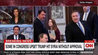 Famous Garamendi joins Ana Cabrera on CNN to discuss Syria: April 14, 2018 Profile