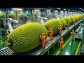 Inside a 50,000-Pound Plant: Modern Production of Dried Jackfruit
