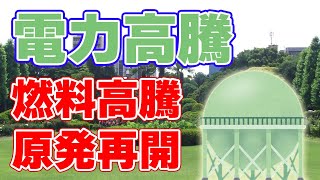 【原発再開？】燃料費上昇に伴う電気料金値上げ【中部電力は赤字に】