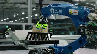Robot Highlight Video Parcel Sorting Solutions From Ambi Robotics