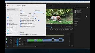 How to run Adobe Premiere Pro in Apple macbook in Full screen screenshot 3