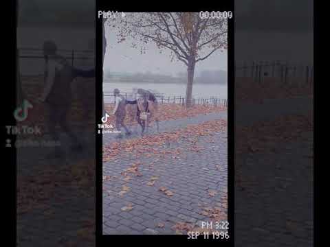 زعلان على عمر انقضى خلص مابدي حدا 