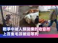 【在戰爭之前，小小生命總是被輕易地抹去】