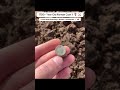 I Found a 1750+ Year Old Roman Coin !! 🤯👍 #shorts #treasure #romanempire #metaldetecting #history