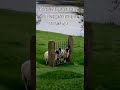 Вот Так виглядає безвихідна ситуація очима Бога