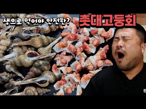 촛대고둥회 생으로먹으면 안전하고 익혀먹으면 독이된다??Eatingshow Mukbang