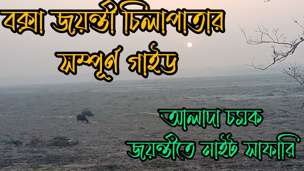 Buxa Jayanti and Chilapata Forest Safari 2026 || Complete Tour Plan || Mendabari Jungle Camp Stay 