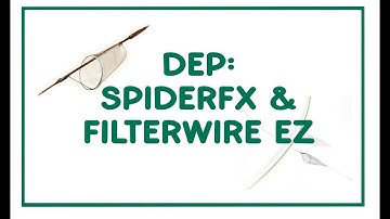 Distal Embolic PROTECTION Explained