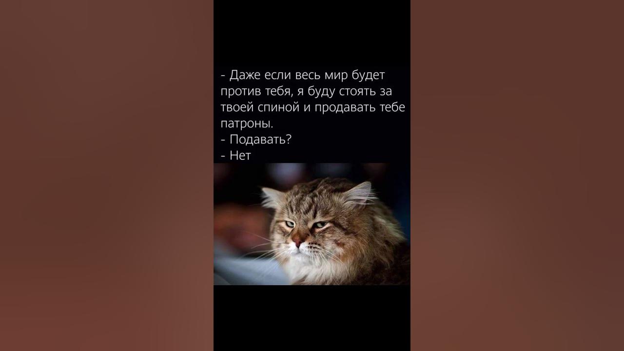 Песня весь мир против нас. Если весь мир против тебя. Даже если мир против.