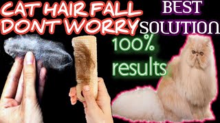 Persain cat hair fall solution/Cat hair shedding/hair loss in cats