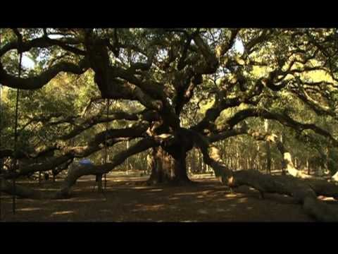 Carolina Traveler:  Charleston, SC