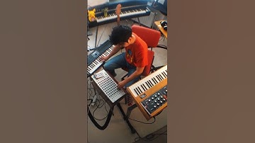 We’re here for the Moog 🎹 #moog #synth #moogmusic #moogsynthesizer